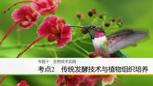 2018届浙江选考高三生物二轮专题复习课件：专题十 生