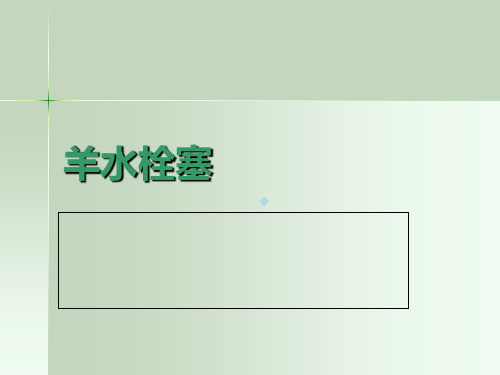 羊水栓塞ppt课件
