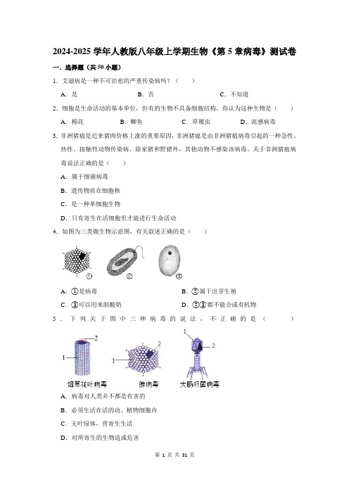 2024-2025学年人教版八年级上学期生物《第5章病毒》测试卷及答案解析