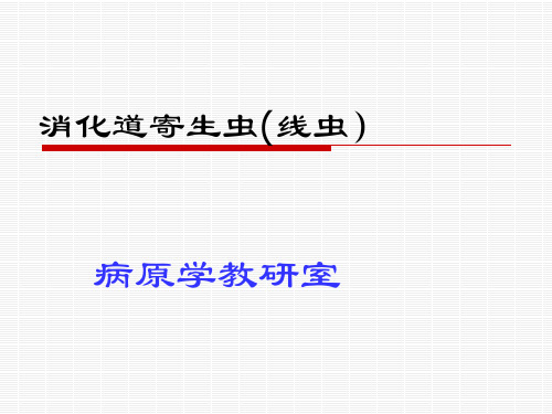 消化道寄生虫(线虫)