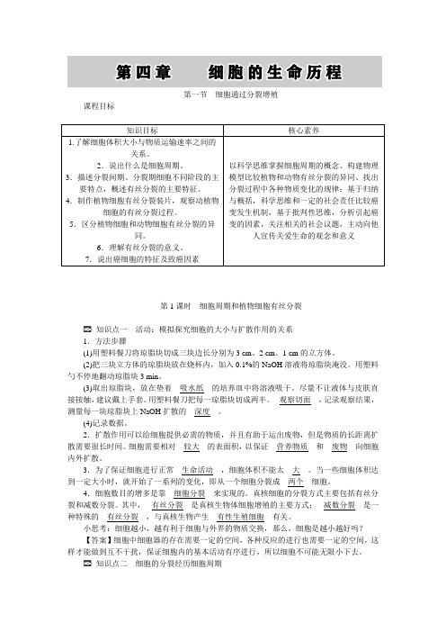 新教材高一生物浙科版必修第一册学案：第四章第一节第1课时细胞周期和植物细胞有丝分裂含答案 (1)