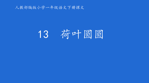 部编版小学一年级语文下册课文《荷叶圆圆》课件