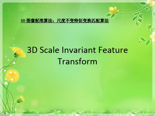 3D-SIFT精品PPT课件