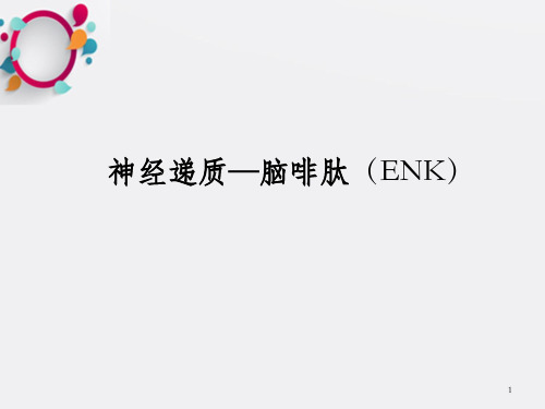 神经递质脑啡肽ENK