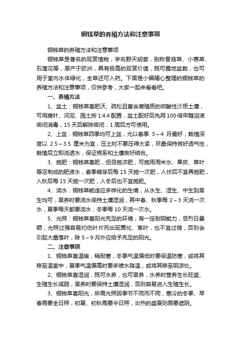 铜钱草的养殖方法和注意事项