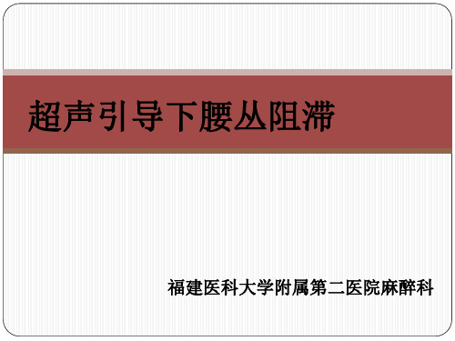 超声引导下腰丛阻滞