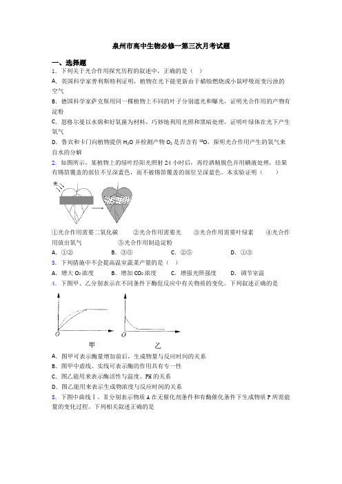 泉州市高中生物必修一第三次月考试题