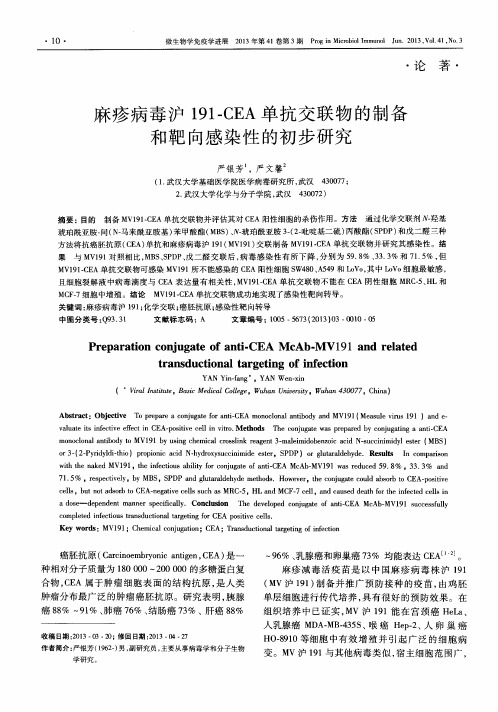 麻疹病毒沪191-CEA单抗交联物的制备和靶向感染性的初步研究