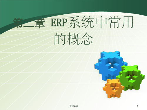 《ERP学习》PPT课件