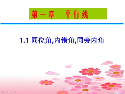 1.1同位角内错角同旁内角