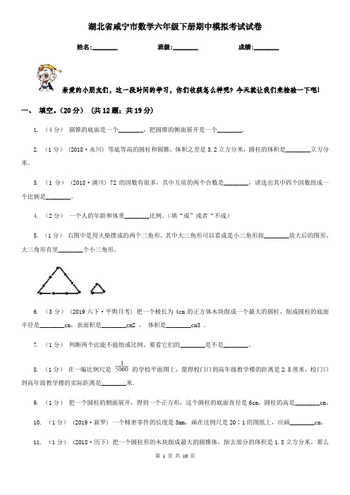 湖北省咸宁市数学六年级下册期中模拟考试试卷