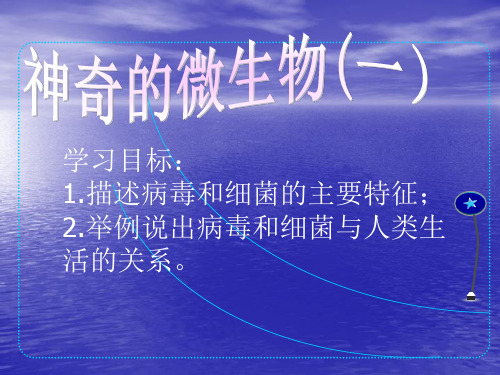 苏教版八年级上册生物《神奇的微生物(一)》精品课件