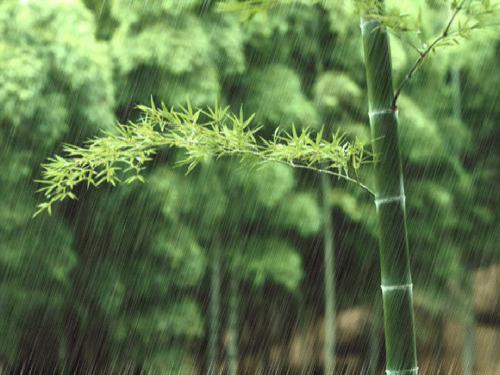 《雨说》