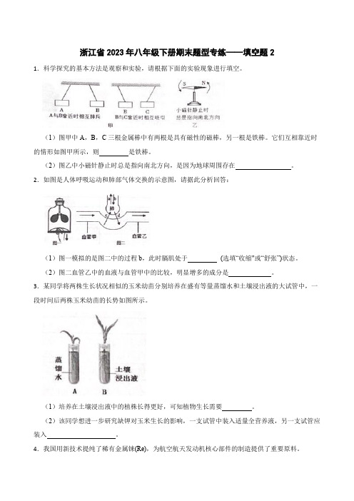 期末题型专练——填空题2---浙教版科学八年级下册