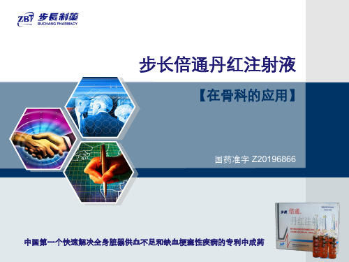 丹红注射液-骨科片-精品文档