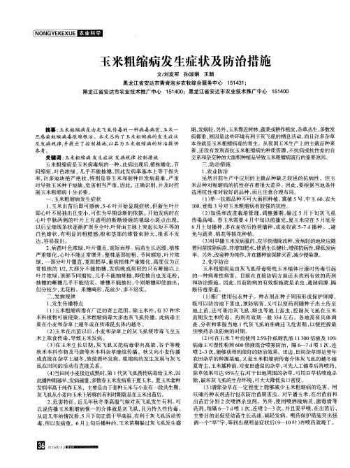 玉米粗缩病发生症状及防治措施