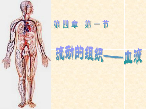 人教版七年级生物下册第四章人体内物质的运输PPT课件