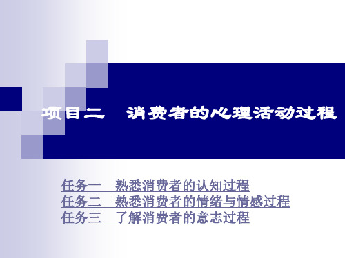 项目二  消费者的心理活动过程 PPT课件