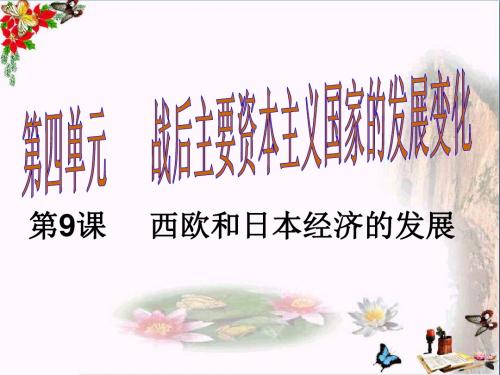 【初中历史】2017-2018学年九年级历史下册教学课件ppt(26份) 人教版25