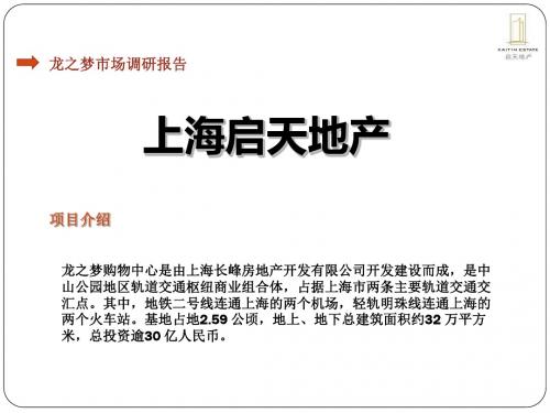 最新文档-龙之梦市调报告-PPT精品文档