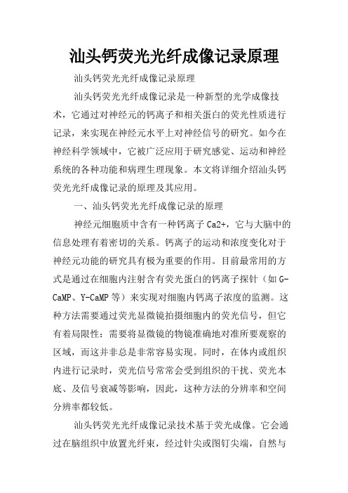 汕头钙荧光光纤成像记录原理