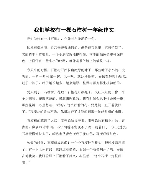 我们学校有一棵石榴树一年级作文