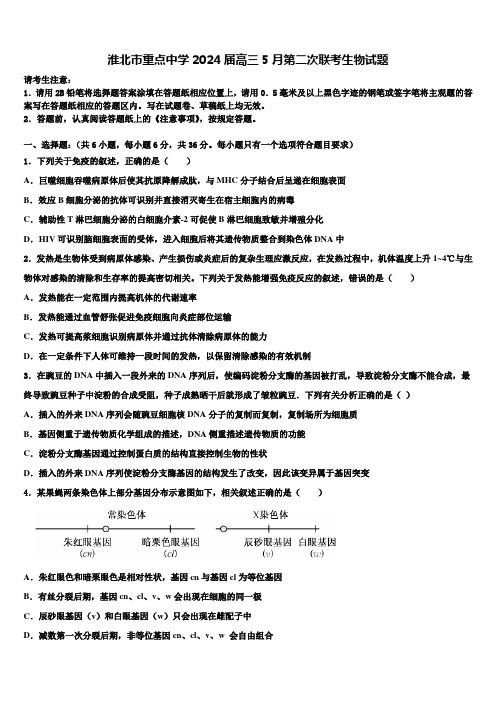 淮北市重点中学2024届高三5月第二次联考生物试题含解析