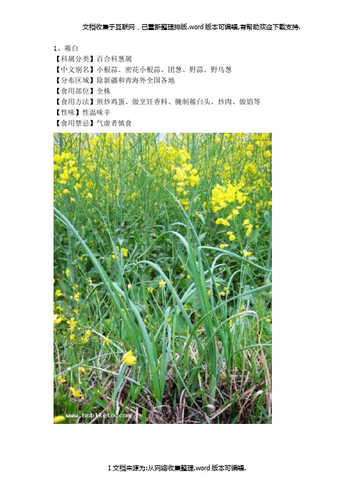 北方常见野菜图集