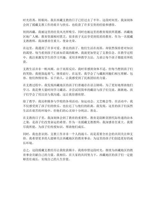 援藏支教教师心得体会