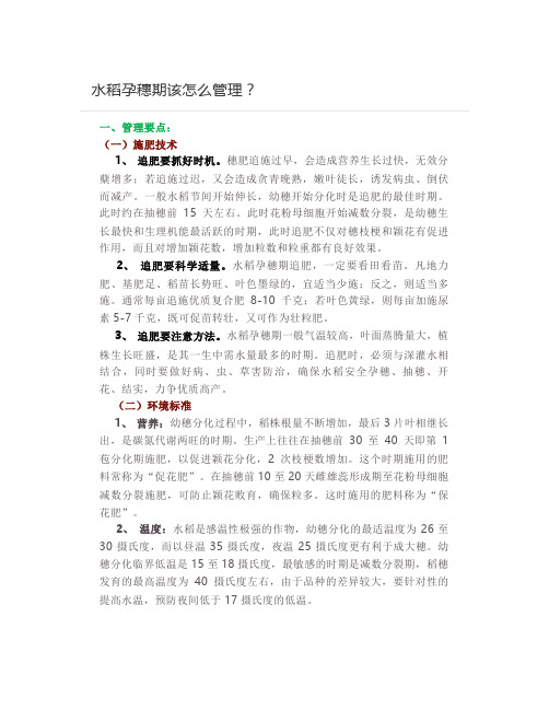  水稻孕穗期该怎么管理？