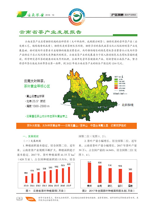 云南省茶产业发展报告