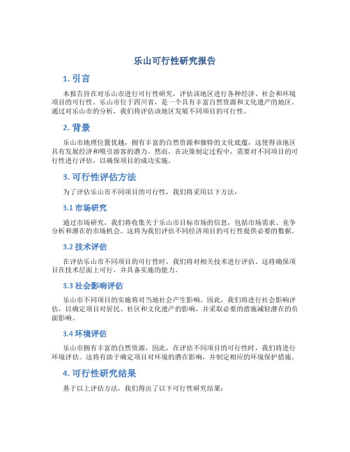 乐山可行性研究报告