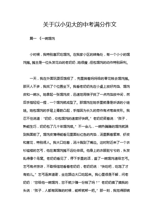 关于以小见大的中考满分作文