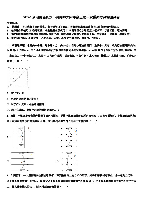 2024届湖南省长沙市湖南师大附中高三第一次模拟考试物理试卷含解析