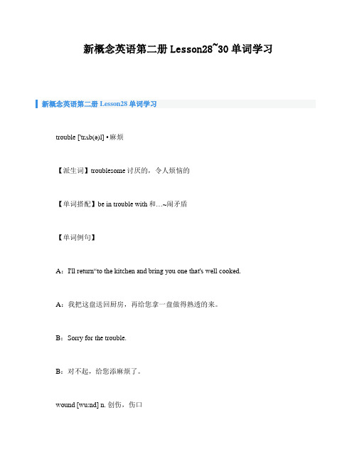 新概念英语第二册Lesson28_30单词学习