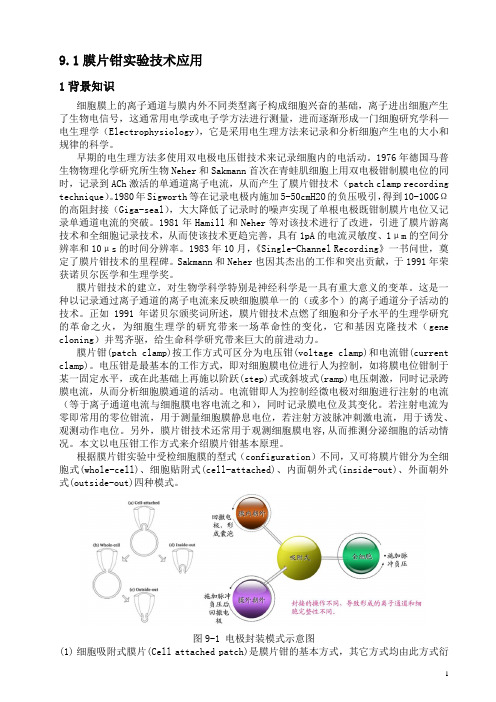 膜片钳实验技术应用