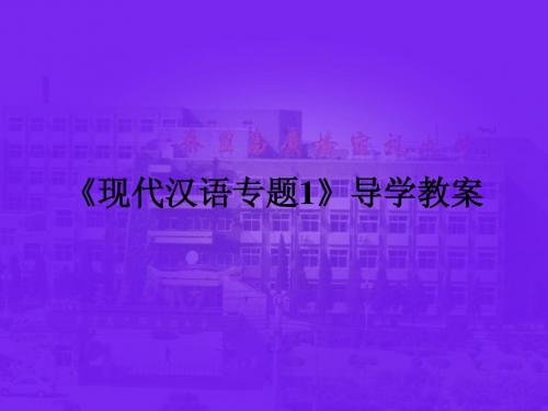 《现代汉语专题1》导学教案