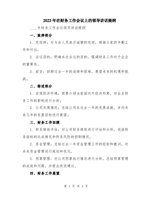 2023年在财务工作会议上的领导讲话提纲