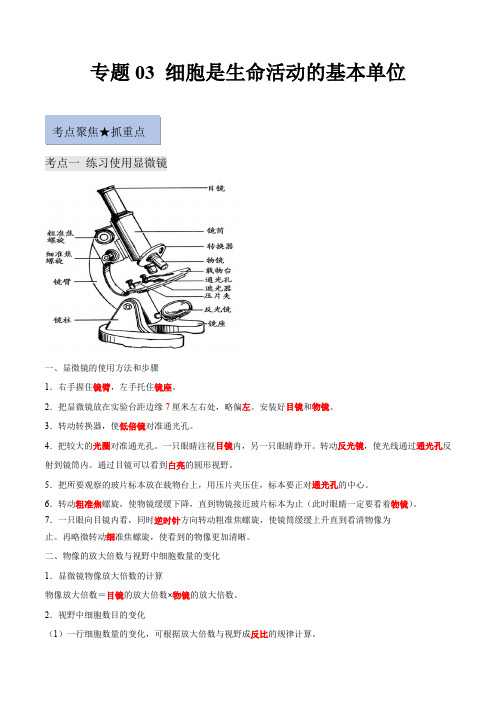 专题03 细胞是生命活动的基本单位(原卷版)