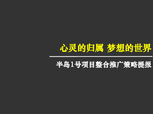 广东惠州半岛1号项目整合推广策略提报89