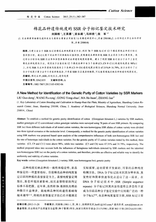 棉花品种遗传纯度的SSR分子标记鉴定技术研究