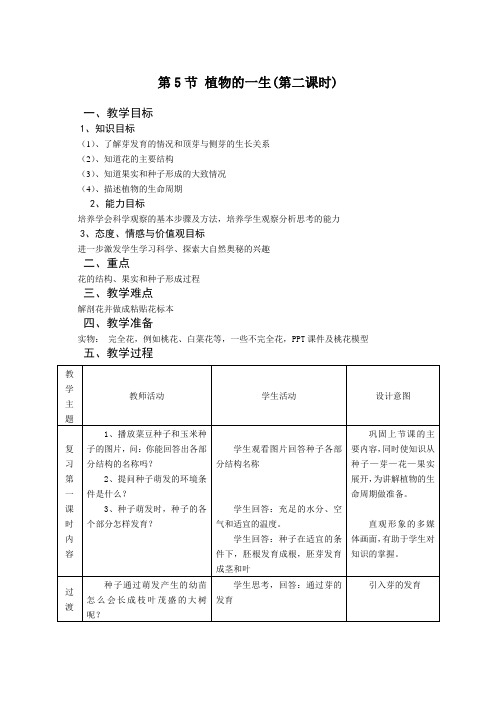 植物的一生(第2课时 芽和花)