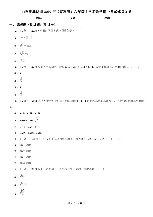 山东省潍坊市2020年(春秋版)八年级上学期数学期中考试试卷B卷