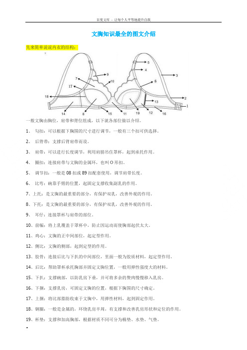 文胸知识最全的介绍