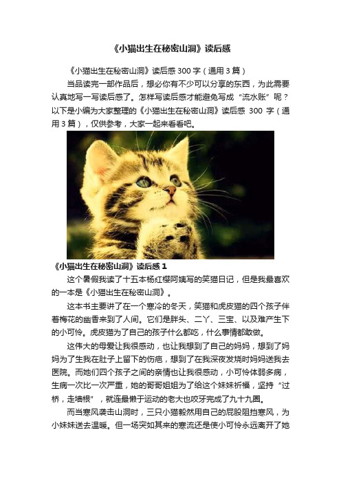 《小猫出生在秘密山洞》读后感