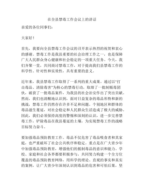 在全县禁毒工作会议上的讲话