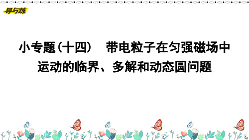 小专题(十四) 带电粒子在匀强磁场中运动的临界多解和动态圆问题