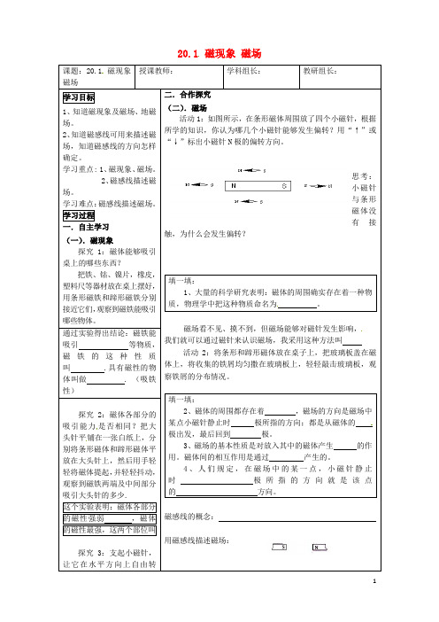 湖北省黄冈市黄州西湖中学九年级物理全册 20.1 磁现象