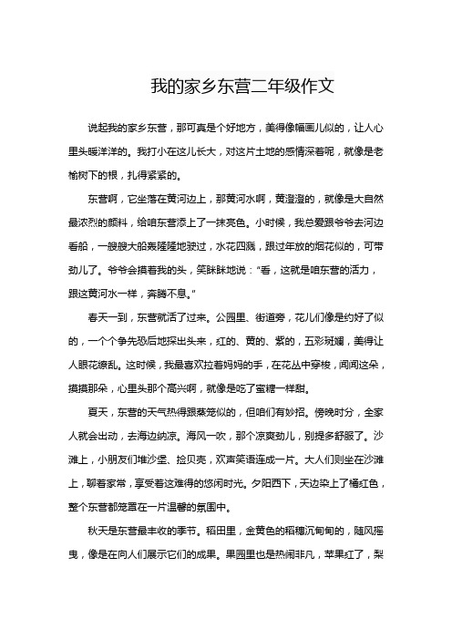 我的家乡东营二年级作文