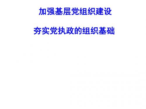 加强基层党组织建设夯实党执政组织基础